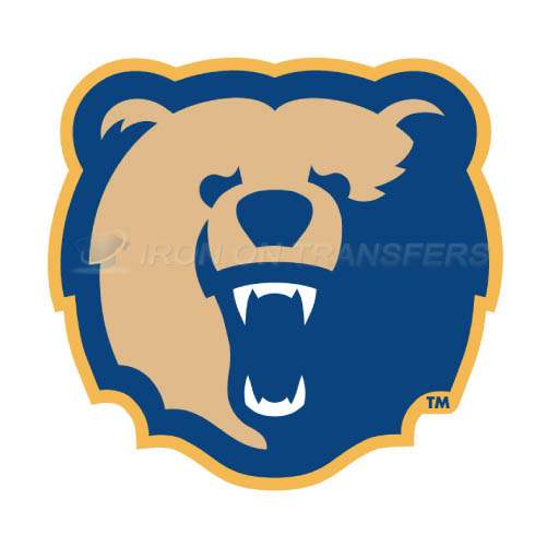 Morgan State Bears Logo T-shirts Iron On Transfers N5210